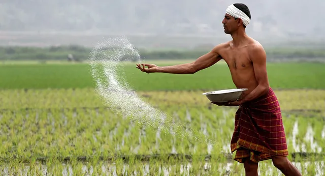 ଉତ୍କଟ ସାର ସଙ୍କଟର ଚିନ୍ତା