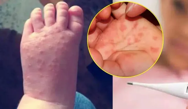 ଏଚ୍‌ଏଫ୍‌ଏମ୍‌ଡିର ୧୩ ନମୁନାରେ ସିଏ-୧୬: ପୁନେସ୍ଥିତ ଏନ୍‌ଆଇଭିରୁ ଆସିଲା ରିପୋର୍ଟ