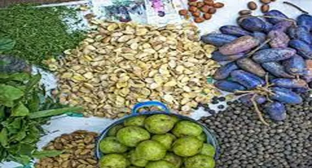 ଜଂଗଲ ଜଳୁଛି, ଉଜୁଡ଼ୁଛି ଜ˚ଗଲଜାତ ଦ୍ରବ୍ୟ