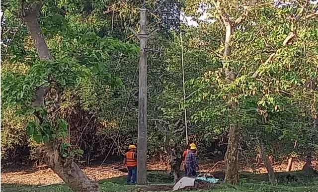 ପଡ଼ିଆରେ ଖେଳୁଥିଲେ ପିଲା, ଛିଣ୍ଡିଲା ଉଚ୍ଚଶକ୍ତିସଂପନ୍ନ ବିଦ୍ୟୁତ୍‌ ତାର