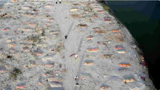 କରୋନା ସମୟରେ ଗଙ୍ଗା ନଦୀ କୂଳରୁ ମିଳିଥିଲା କେତେ ମୃତଦେହ, ସରକାରଙ୍କୁ ରିପୋର୍ଟ ମାଗିଲେ ଗ୍ରୀନ ଟ୍ରିବ୍ୟୁନାଲ