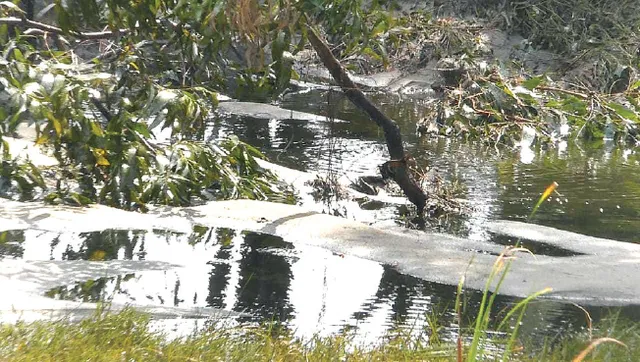 ଆଇଓସିଏଲ୍‌ ପାଇପ୍‌ ଲାଇନ୍‌ ଫାଟିଲା: ତେଲ ପୋଖରୀର ଭ୍ରମ