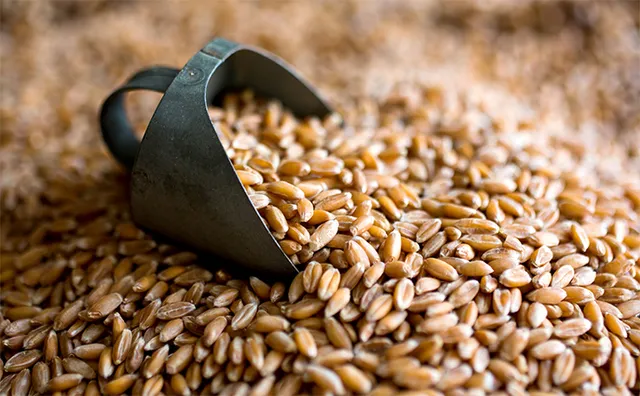 ଖୁଚୁରା ବଜାରରେ ଖାଉଟିଙ୍କୁ ଲୁଟ୍‌; ତେଲ, ଗହମର ଦର କମିଛି, ଖାଉଟି କିଣୁଛନ୍ତି ଚଢ଼ା ଦରରେ