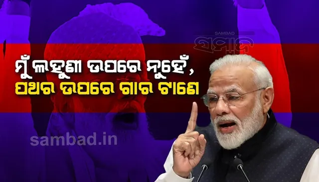 ମୁଁ ଲହୁଣୀ ଉପରେ ନୁହେଁ ପଥର ଉପରେ ଗାର ଟାଣେ; ଟୋକିଓରେ କହିଲେ ପ୍ରଧାନମନ୍ତ୍ରୀ ମୋଦୀ
