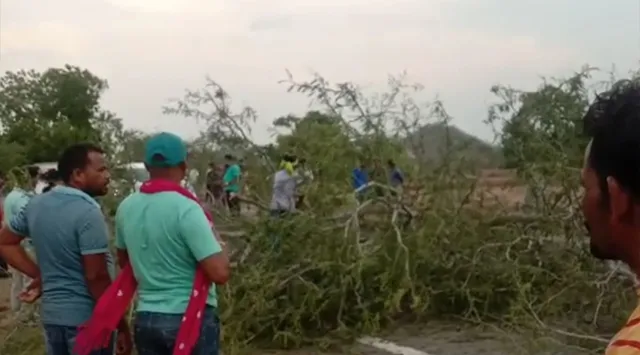 ପାଟଣାଗଡ଼ରେ କାଳବୈଶାଖୀ, ଗଛ ପଡ଼ି ରାସ୍ତା ଅବରୋଧ