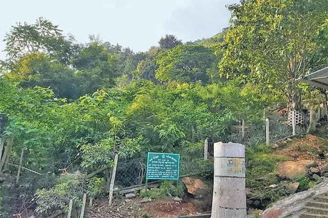 ଆଜି ବିଶ୍ବ ପରିବେଶ ଦିବସ: ଦୁର୍ଗାପୁର ସଂରକ୍ଷିତ ଜଙ୍ଗଲକୁ ମାଡ଼ିଆସୁଛି ବିପଦ