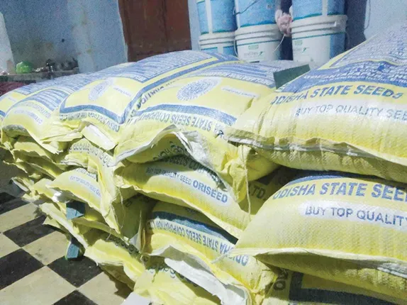 ପାଗ ଭିଡ଼ିଲେଣି ଚାଷୀ, ଖୋ‌ଜିଲେ ମିଳୁନି ‘ସାରଳା’, ‘ଧଳା ସ୍ବର୍ଣ୍ଣ’