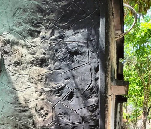 ବାଲିମେଳା ନିର୍ବାହୀ ଅଧିକାରୀଙ୍କ ବାସଭବନ ଉପରେ ପେଟ୍ରୋଲ ବୋମା ଆକ୍ରମଣ