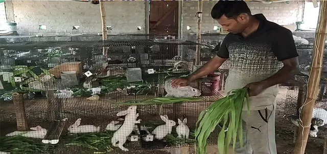 ଠେକୁଆ ଚାଷ କରି ଚର୍ଚ୍ଚାରେ ଯୁବଇଂଜିନିୟର