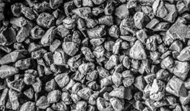 କାରଖାନା ମାଲିକଙ୍କ କଳା କାରନାମା,  ସ୍ପଞ୍ଜ ଚୋରା ଚାଲାଣ