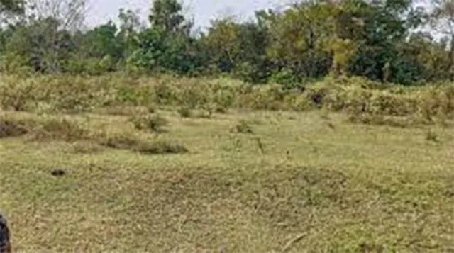 ଶ୍ମଶାନ ଜମି ବିକ୍ରି ପାଇଁ ମସୁଧା! ଡେସିମିଲ୍‌ ୫ ଲକ୍ଷ ଯାଏ ଗଲାଣି ଦର