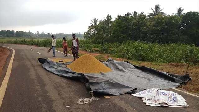 ରବି ମଣ୍ଡି ଧିରେ ଧିରେ ହେଉଛି ସ୍ବାଭାବିକ:କାଳବୌଶାଖୀ ପାଇଁ ଚିନ୍ତିତ ଚାଷୀ