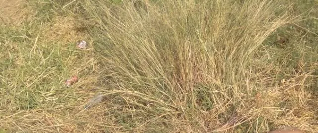 ଅଜଣା ଯୁବକର କ୍ଷତାକ୍ତ ମୃତଦେହ ଉଦ୍ଧାର