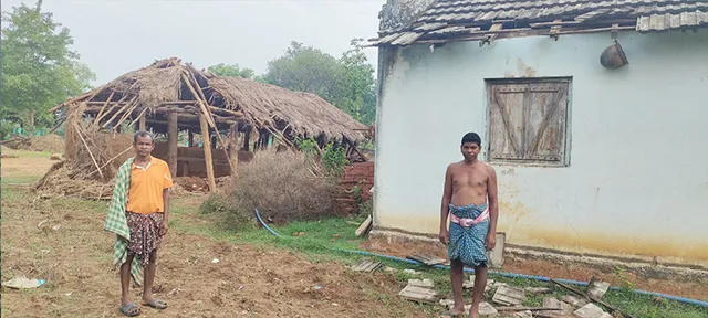 ଘର ଓ ଆମ୍ବଗଛ ଭାଙ୍ଗିଲେ ହାତୀ