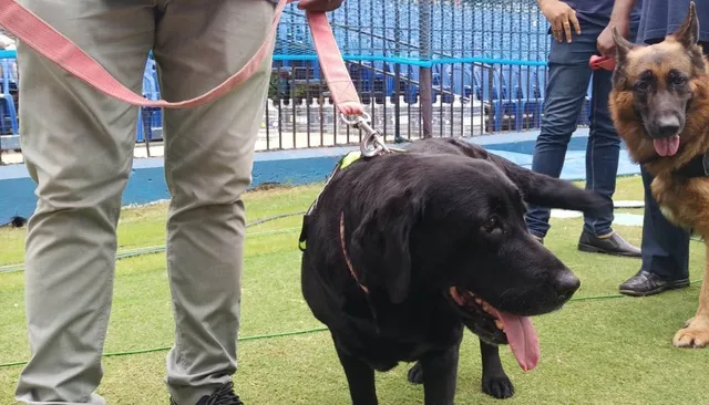 ଚିତା ପରି ଚତୁର ଓଡ଼ିଶା ପୁଲିସର ୪ କୁକୁର: ବାରବାଟୀ ଷ୍ଟାଡିୟମ ଉପରେ ରଖିବେ ନଜର