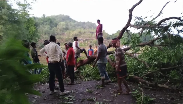 ଗଛପଡ଼ି ରାସ୍ତା ଅବରୋଧ, ୨ ଘଣ୍ଟା ଯାତାୟାତ ଠପ୍