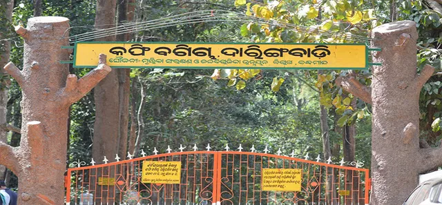 ବିନା ଟେଣ୍ଡର୍‌ରେ ପ୍ରସିଦ୍ଧ ଦାରିଙ୍ଗିବାଡ଼ି କଫି ବଗିଚା ହସ୍ତାନ୍ତର ପ୍ରୟାସ