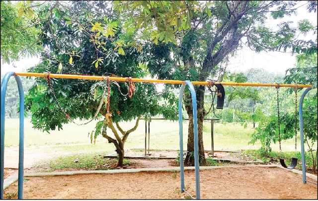 ଇନ୍ଦିରା ଗାନ୍ଧୀ ପାର୍କ: ଉପରକୁ ଚିକ୍କଣ, ଭିତରେ ପୁଳାପୁଳା ସମସ୍ୟା