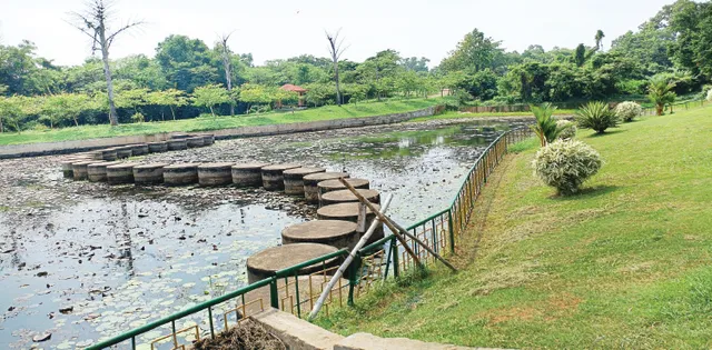 ଶ୍ରୀହୀନ ଏକାମ୍ରକାନନ, ଚାଲୁନି ବୋଟ୍‌, ଫୁଟୁନି ପଦ୍ମ