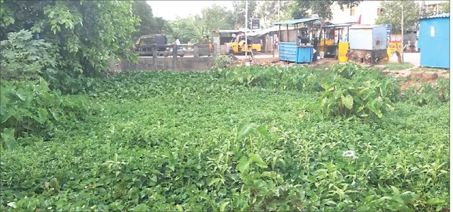 ଆବର୍ଜନା କୁଣ୍ଡ ପାଲଟିଛି ଦୟାୱେଷ୍ଟ କେନାଲ୍‌