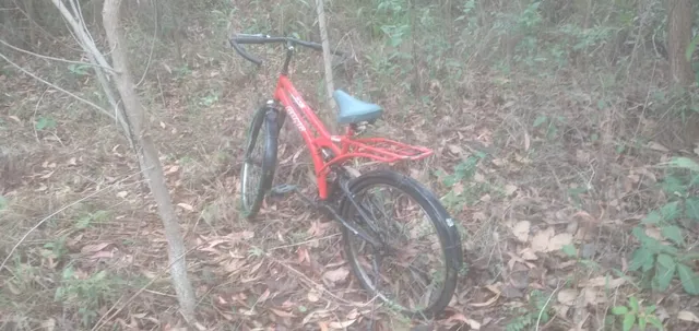 ବିନିକା: ବାଉଁଶୁଣି ଜଙ୍ଗଲରୁ ଗଳିତ ଶବ ଠାବ