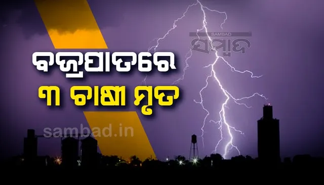 ବଜ୍ରପାତ ନେଲା ୩ ଜୀବନ: କପା ଲଗାଇବା ବେଳେ ୨ ମହିଳା ଶ୍ରମିକ ମୃତ, ଧାନବିଲରେ ଟଳିପଡ଼ିଲେ ଚାଷୀ