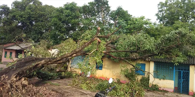 ବଜ୍ରପାତରେ ୩ ଗୁରୁତର, ଘର ଭାଙ୍ଗିଲା