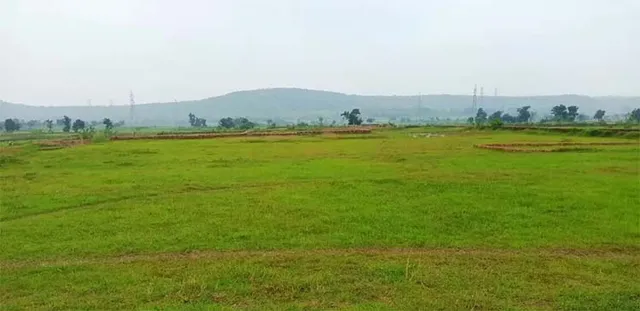 ଆଷାଢ଼ ମାସରେ ବର୍ଷା ନାହିଁ, ଜିଲ୍ଲାର ଅଧାରୁ ଅଧିକ ଜମି ଚାଷ ହୋଇନପାରି ପଡ଼ିଆ