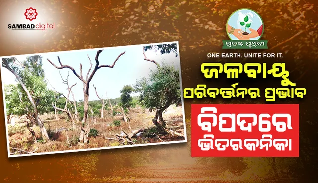 ପୁନଶ୍ଚ ପୃଥିବୀ: ଜଳବାୟୁ ପରିବର୍ତ୍ତନର ପ୍ରଭାବ, ବିପଦରେ ଭିତରକନିକା
