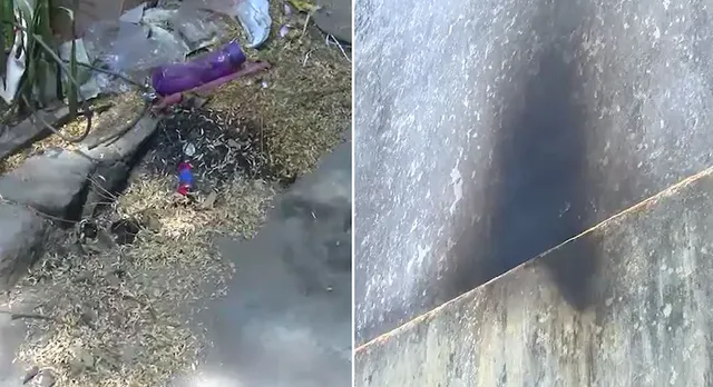 ରାଞ୍ଚି : ମନ୍ଦିର ଭିତରେ ପୂଜାରୀ ଶୋଇଥିବାବେଳେ ପେଟ୍ରୋଲ ବୋମା ଫିଙ୍ଗିଲେ ଦଙ୍ଗାକାରୀ