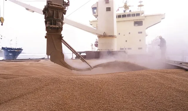 ତୁର୍କୀ ଫେରାଇଦେଇଥିବା ଭାରତୀୟ ଗହମକୁ ନେବାକୁ ମନା କରିଦେଲା ଇଜିପ୍ଟ