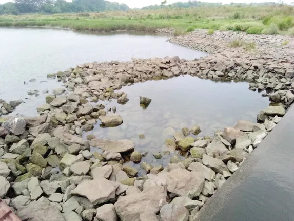 ଦେବୀନଦୀ ଗିଳିଦେଲା ଅଧକୋଟି ଟଙ୍କାର ପଥର!