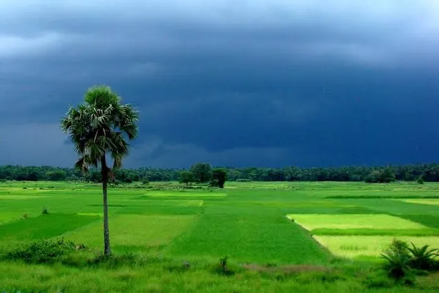 ଜୁନରେ ଓଡ଼ିଶାରେ ୪୦ ପ୍ରତିଶତ ବର୍ଷା ନିଅଣ୍ଟ : ସ୍କାଏମେଟ୍