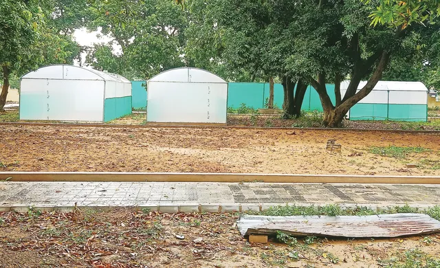 ୧୬ ମାସ ପରେ ବି ସିଏମ୍‌ସି ଚାରା ଉଦ୍ୟାନକୁ ମିଳିଲାନି ଠିକଣା