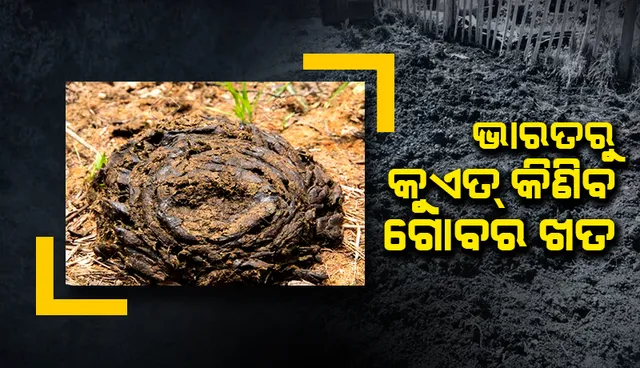 ନୂପୁର ଶର୍ମା ବିବାଦ ସତ୍ତ୍ବେ ଭାରତରୁ କୁଏତ୍‌ କିଣିବ ୧୯୨,୦୦୦ କିଲୋ ଗୋବରଖତ