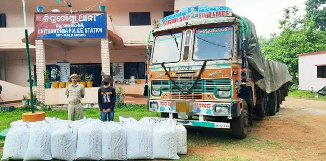 ଲୁଣ ଟ୍ରକରୁ ୫୨୩ କିଲୋ ଗଞ୍ଜେଇ ଜବତ, ଜଣେ ଗିରଫ