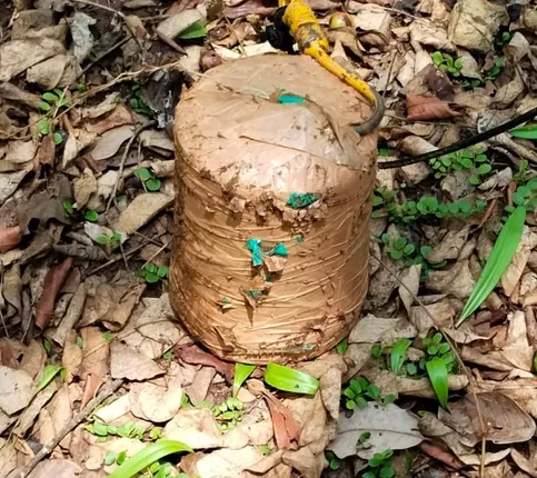 ଲ୍ୟାଣ୍ଡମାଇନ ଉଦ୍ଧାର ଓ ନିଷ୍କ୍ରିୟ କଲେ ଯବାନ