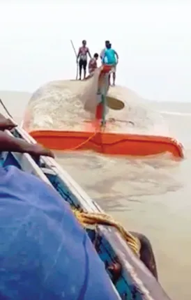 ଟ୍ରଲର୍‌ ବୁଡ଼ି ଘଟଣା, ନିଖୋଜ ମତ୍ସ୍ୟଜୀବୀଙ୍କ ପତ୍ତା ମିଳୁନି