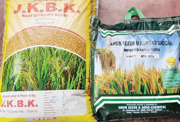 ଆଷାଢ଼ ହେଲା: ମିଳିଲାନି ଧାନ ବିହନ, କୃଷି ବିଭାଗରେ ଅଚଳାବସ୍ଥା  କର୍ମଚାରୀ ଅଭାବ, ଚାଷୀ ପାଇ ପାରୁନି ସୂଚନା