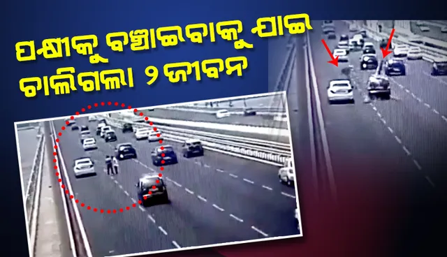 ପକ୍ଷୀକୁ ବଞ୍ଚାଇବା ପାଇ ଗାଡ଼ିରୁ ବାହାରିି ଥିବା ୨ବ୍ୟକ୍ତିଙ୍କୁ ଧକ୍କା ଦେଲା ଟାକ୍ସି, ଚାଲିଗଲା ଜୀବନ