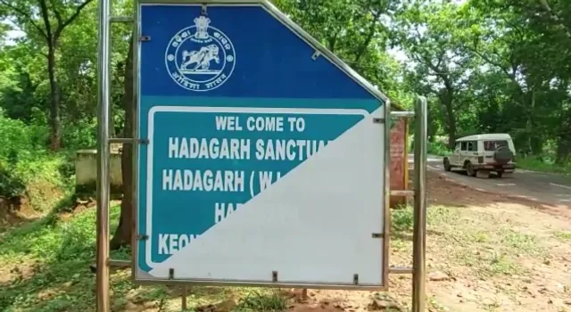 ପାହାଡ଼ ଉପରୁ ଖସି ପଡ଼ି ହାତୀର ମୃତ୍ୟୁ