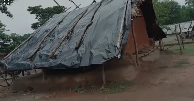 ବୈପାରିଗୁଡା: ପଲିଥିନ୍ ତଳେ ବିତୁଛି ଜୀବନ