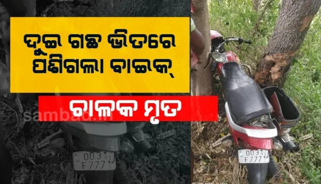 ଗଛରେ ପିଟି ହୋଇ ବାଇକ୍ ଆରୋହୀ ମୃତ