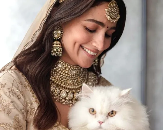 ଏକ୍ସପ୍ରେସ ଆଦା ଲାଇଭ ଅପଡେଟରେ ଆଲିଆ