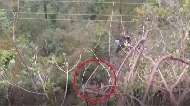 ଘାଟି ତଳକୁ ଖସିପଡିଲା ବସ, ୨୨ ଯାତ୍ରୀଙ୍କର ମୃତ୍ୟୁ ସୂଚନା