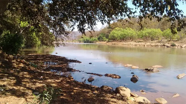 ବୈତରଣୀର ହେବ ଅକାଳ ମୃତ୍ୟୁ, ସ୍ଲରି ଶୋଷିଦେବ ପାଣି