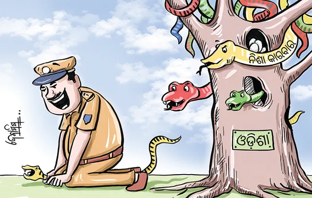 ଗଞ୍ଜାମରେ କାୟା ମେଲାଇଛନ୍ତି କୋଟିପତି ନିଶା ବେପାରୀ