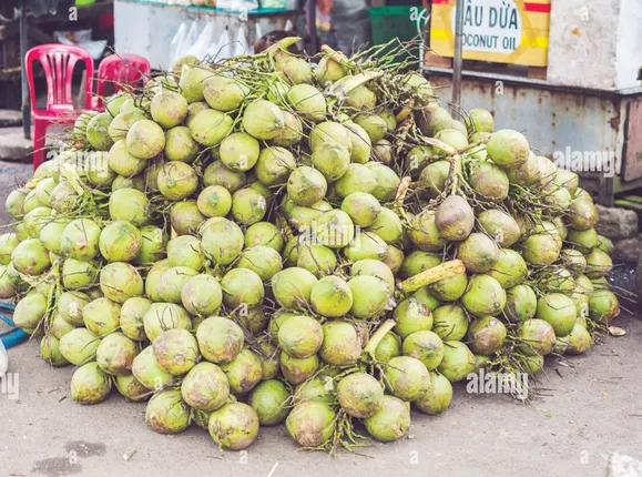 ଚାହିଦା ଅନୁସାରେ ପଇଡ଼ ନାହିଁ, ନଡ଼ିଆ ସମସ୍ୟା ବି ଉତ୍କଟ; ଫନି ପରେ ଅଧାକୁ ଖସିଛି ଉତ୍ପାଦନ