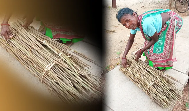 ଦାନ୍ତକାଠିରେ ଲୁଚିଛି ଦାରିଦ୍ର୍ୟର ଚରମ ଚିତ୍ର, ୨୫୦ ଟଙ୍କା ପାଇଁ ଦୁଇଦିନରେ ୪୦ କିଲୋମିଟରର ପଦଯାତ୍ରା