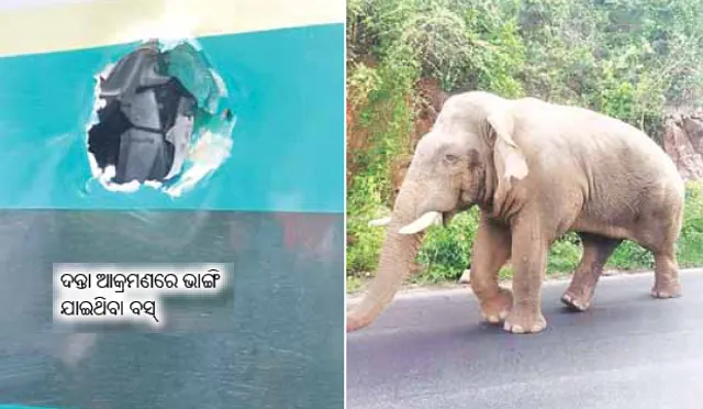 ଯାତ୍ରୀ ବସ୍‌କୁ ଦନ୍ତାର ଆକ୍ରମଣ, ଅଳ୍ପକେ ବର୍ତ୍ତିଲେ ଯାତ୍ରୀ